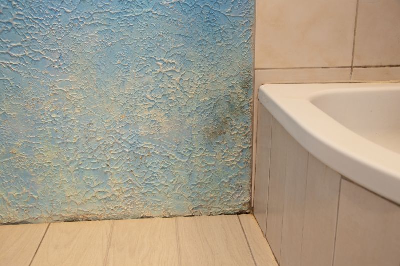 Attic Water Damage Repair in Santa Rosa, CA