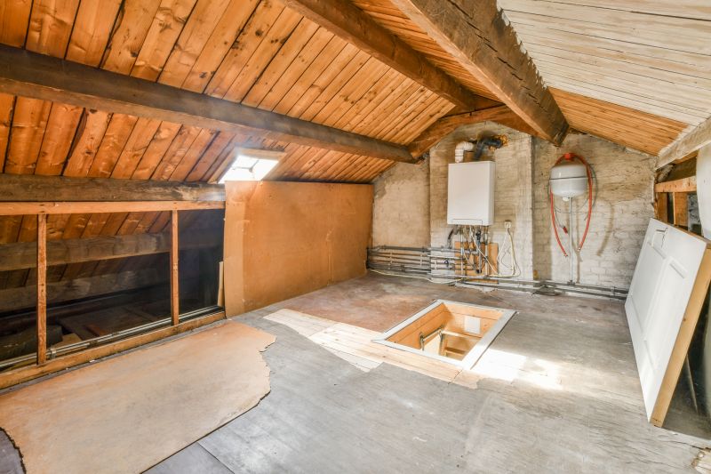 Crawl Space Remediation in Conroe, TX